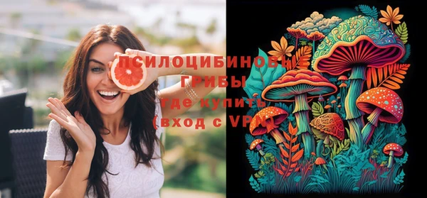 тгк Алзамай