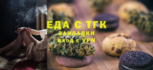 тгк Алзамай